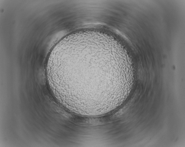 X0000076411362200610271632