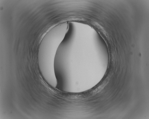 X0000076411369200610271632
