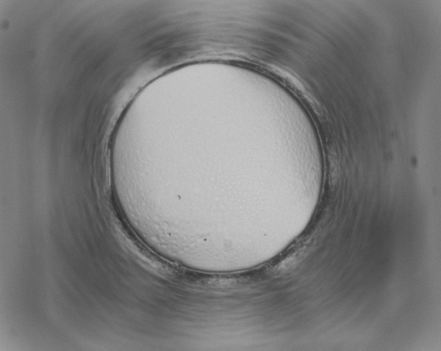 X0000076411371200610271632