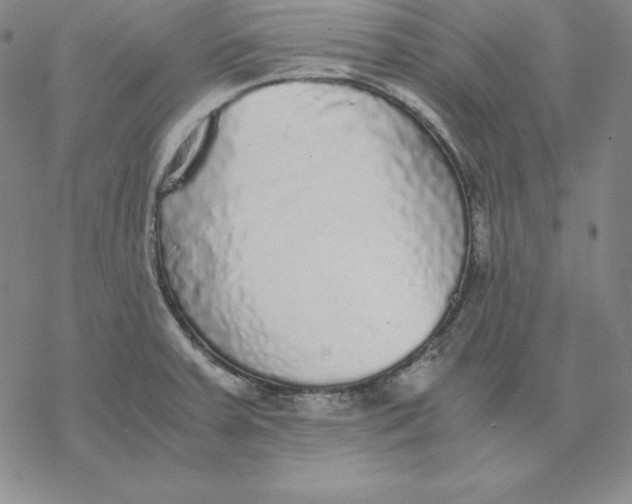 X0000076411379200610271632