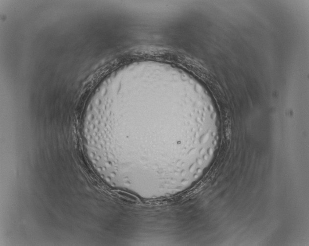 X0000076411397200610271631
