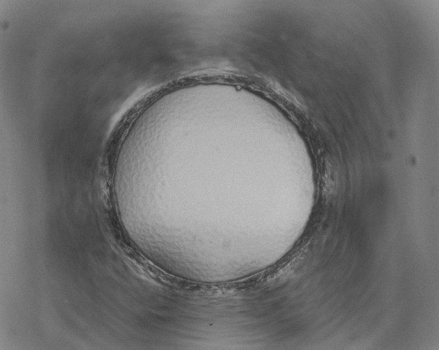 X0000076411400200610271631