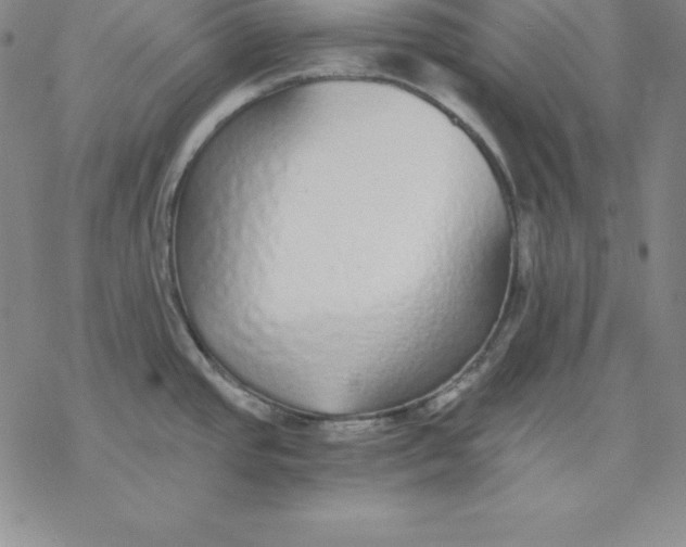 X0000076411437200610271632