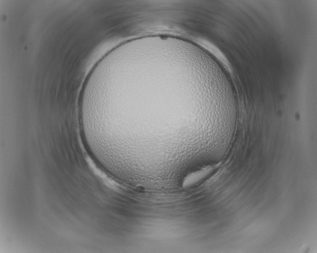 X0000076411439200610271632