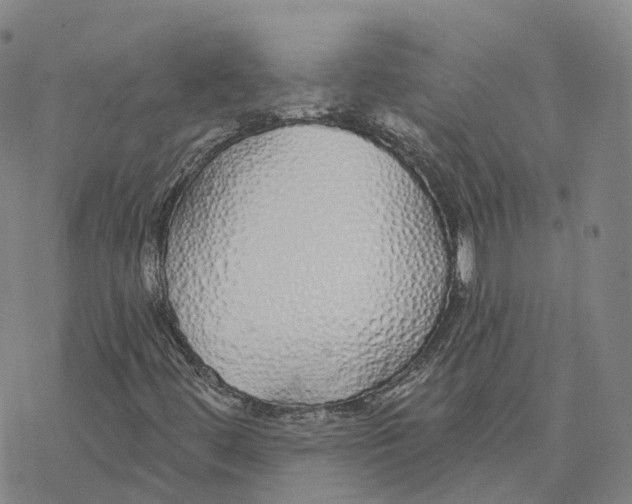 X0000076411444200610271631