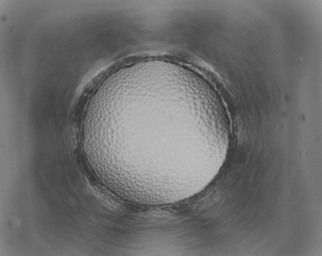 X0000076411448200610271631