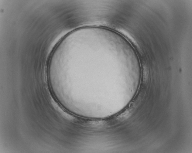 X0000076411468200610271631
