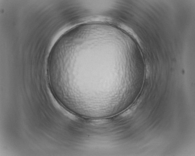 X0000076411483200610271630
