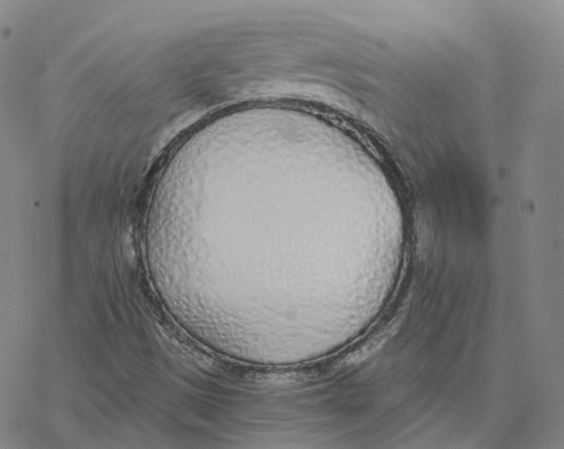 X0000076411497200610271630
