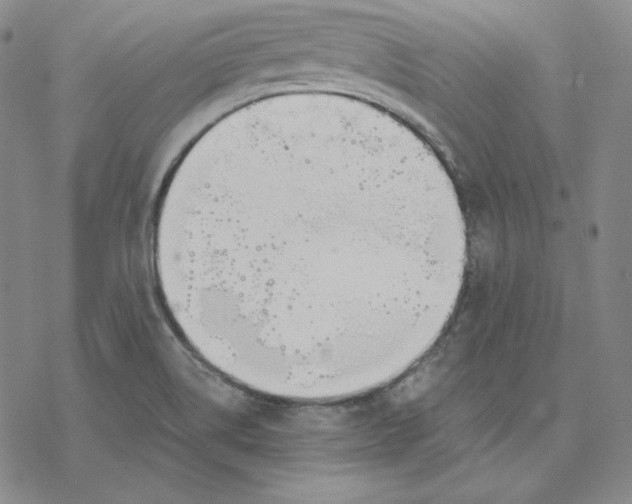 X0000076411514200610271630