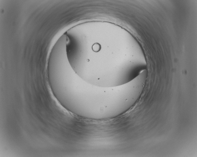 X0000076411536200610271630