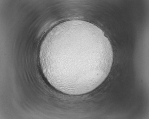 X0000076410002200611031759