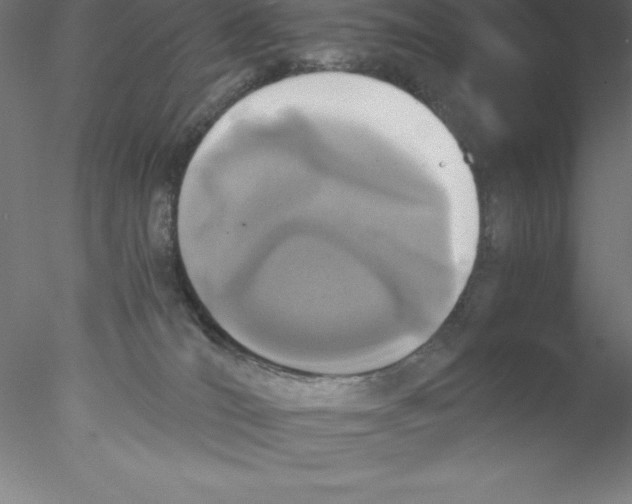 X0000076410036200611031759