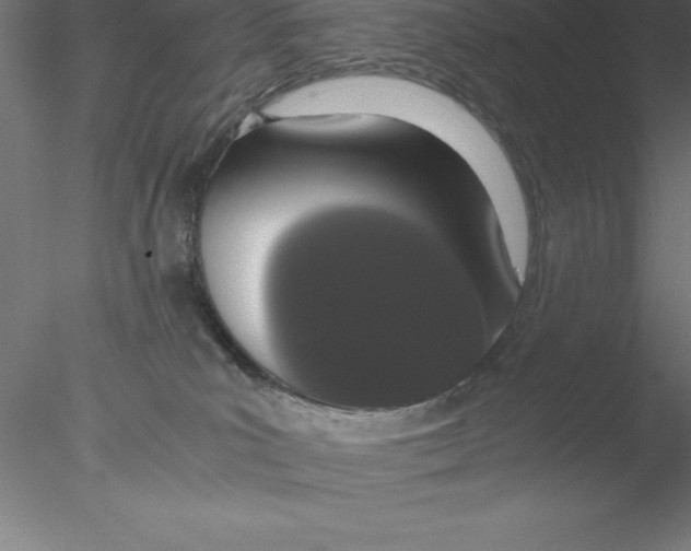 X0000076410039200611031759