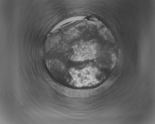 X0000076410048200611031759