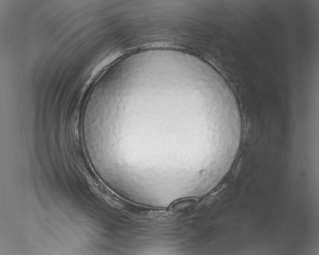 X0000076410050200611031758