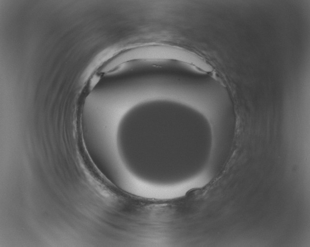X0000076410054200611031758