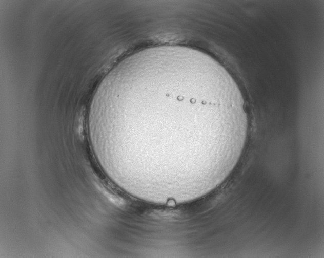 X0000076410065200611031758