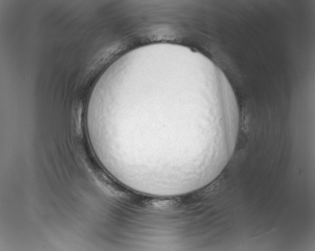X0000076410070200611031758