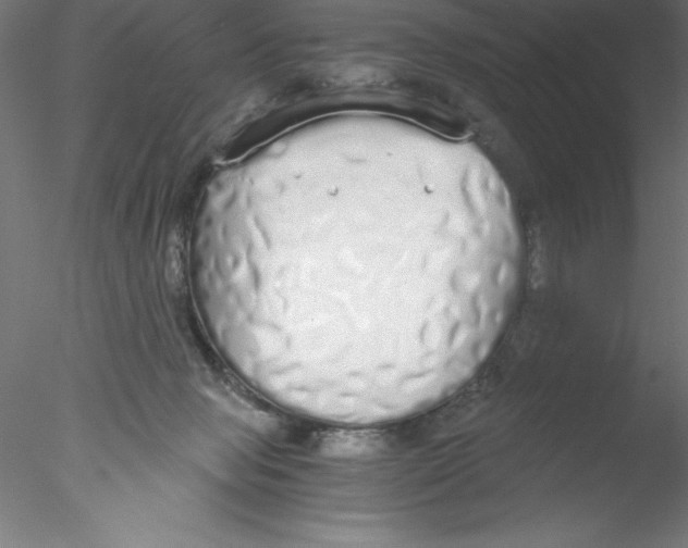 X0000076410077200611031758