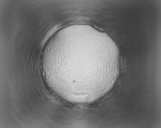 X0000076410099200611031758