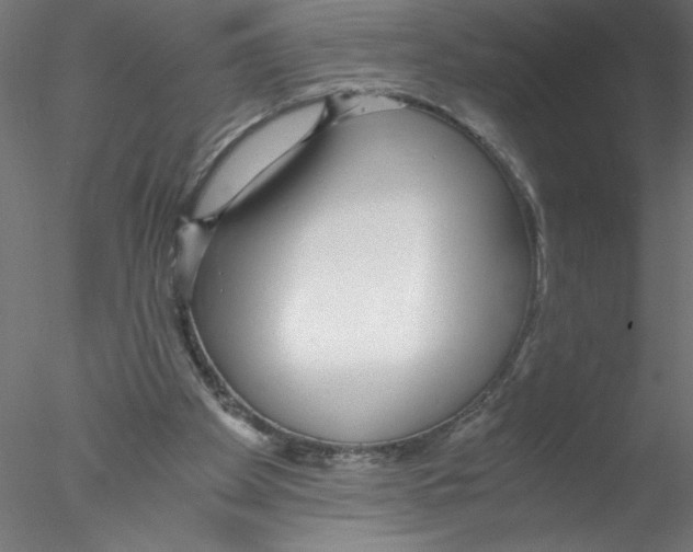 X0000076410105200611031758