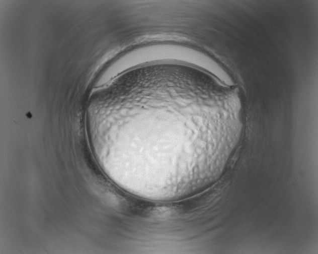 X0000076410111200611031758