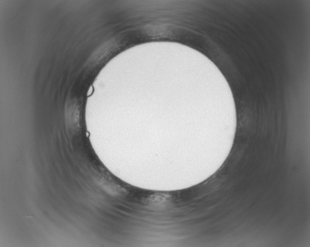 X0000076410124200611031757