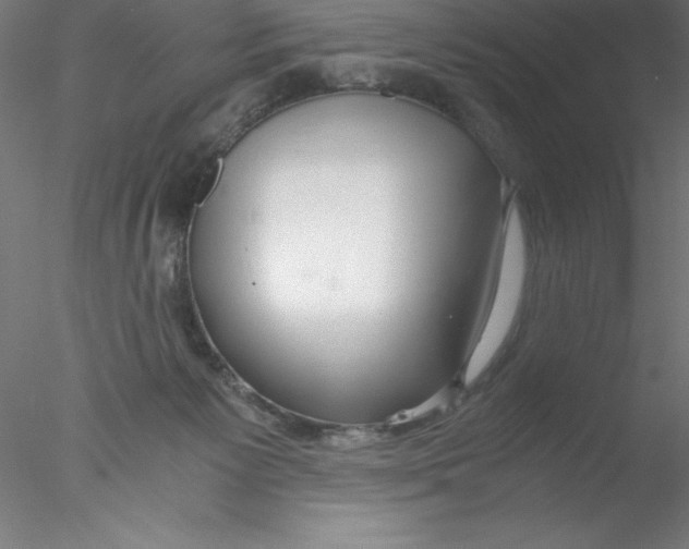 X0000076410125200611031757