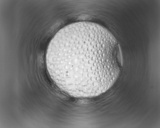 X0000076410127200611031757