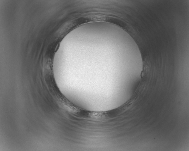 X0000076410141200611031757