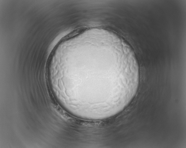 X0000076410147200611031756