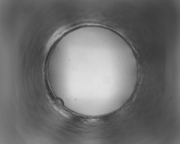 X0000076410151200611031756