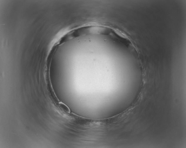 X0000076410152200611031756