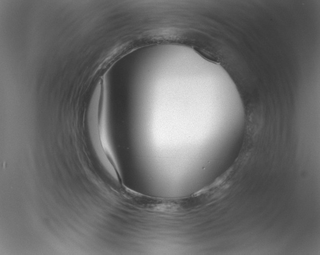 X0000076410168200611031757