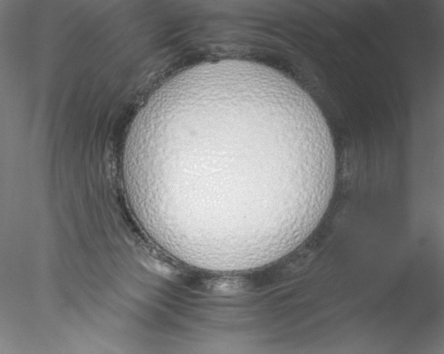 X0000076410173200611031757