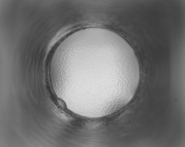 X0000076410198200611031756