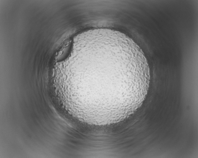 X0000076410202200611031756