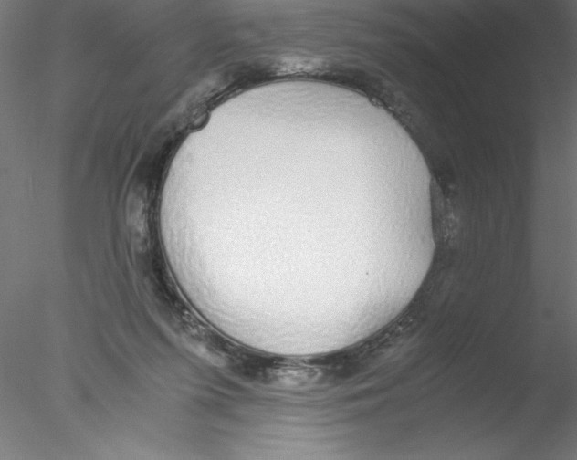 X0000076410215200611031756