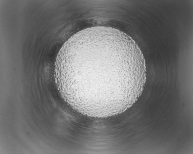 X0000076410222200611031756
