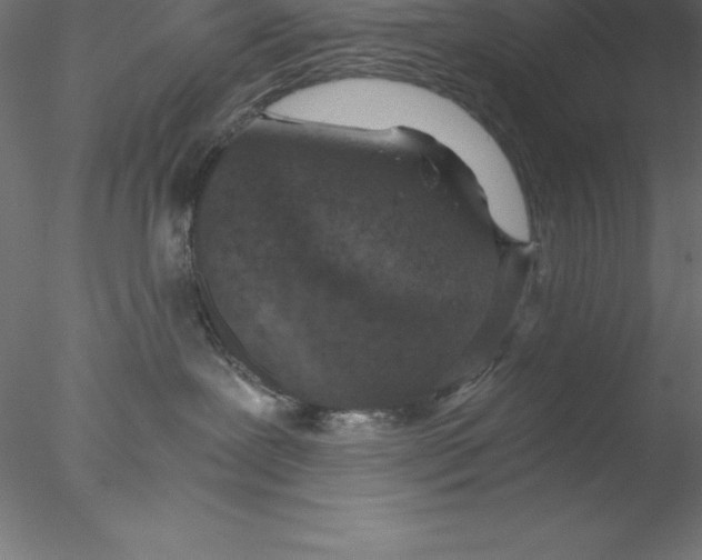 X0000076410239200611031755