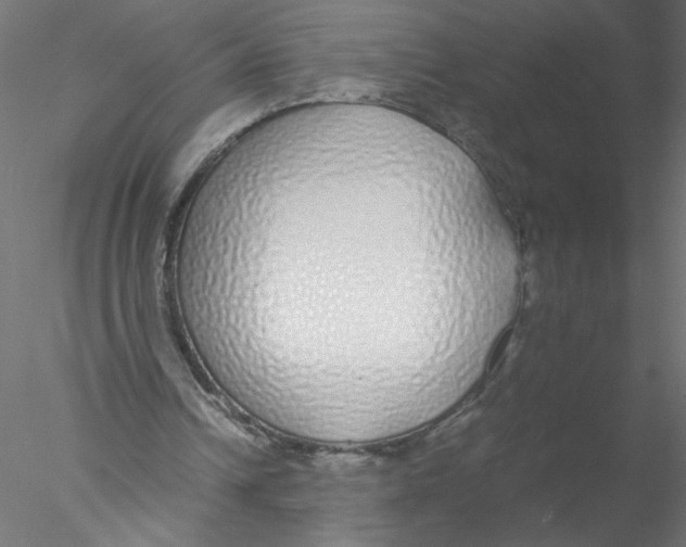 X0000076410242200611031755