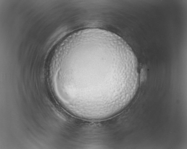 X0000076410243200611031755