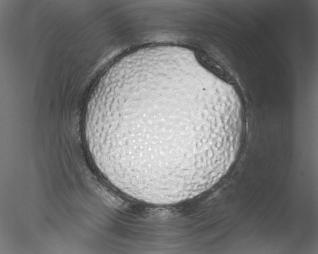 X0000076410249200611031755