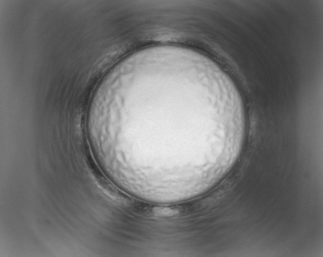 X0000076410257200611031755