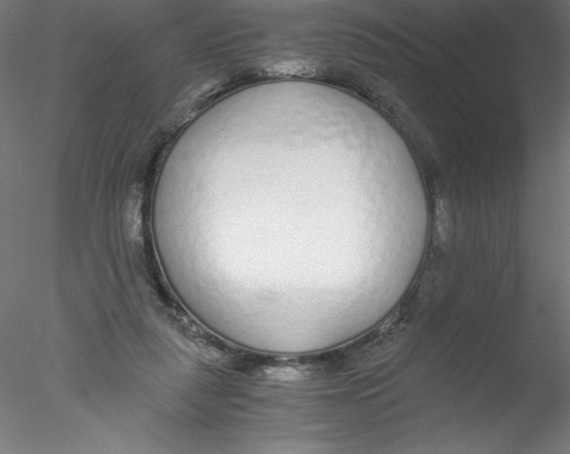 X0000076410259200611031755