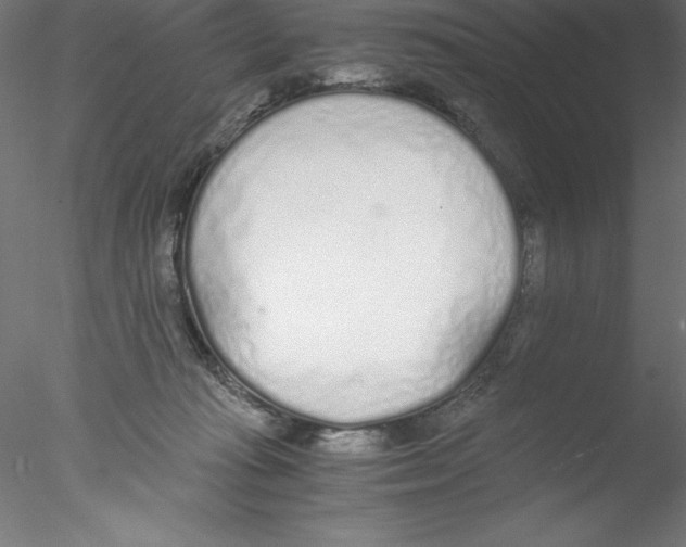 X0000076410269200611031755