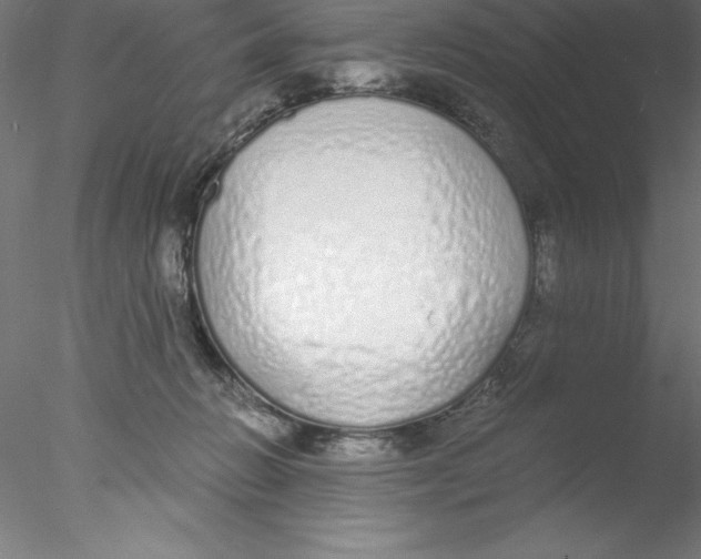 X0000076410270200611031755