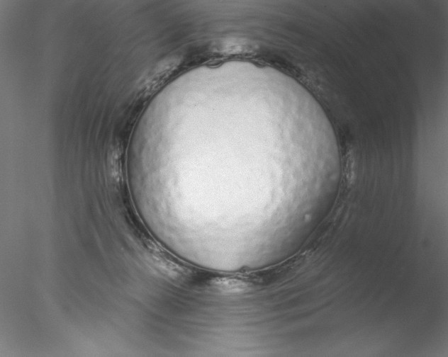 X0000076410272200611031755