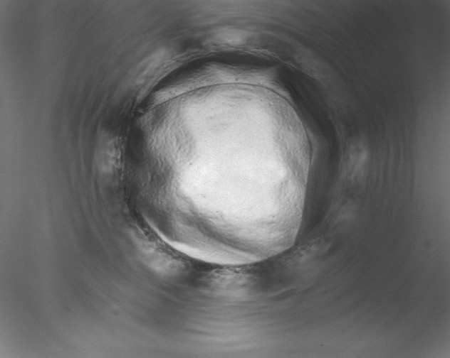 X0000076410284200611031755